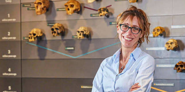 4:40 AM: Natural History Museum: World of Wonder (S1 E4) (S1) | Channel 5 | 11/10 2025