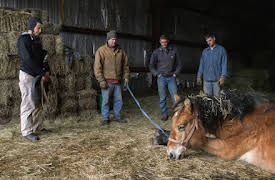 Dr. Dee: Alaska Vet: Episode 1