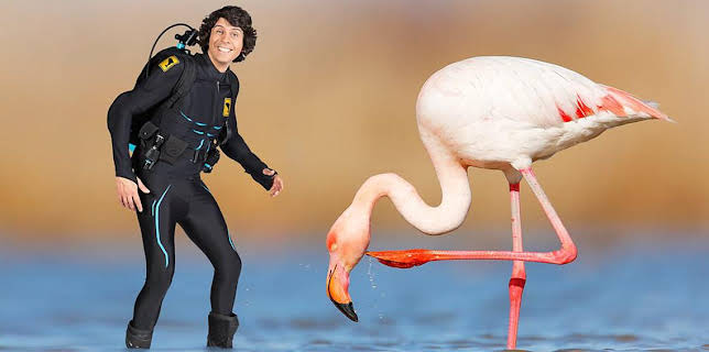 2:25 PM: Andy's Aquatic Adventures (S1) | Cbeebies | 12/9 2025