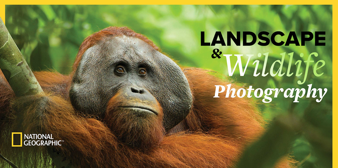 The National Geographic Guide to Landscape and Wildlife Photography