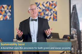 Understanding the World of Financial Markets: The Market for Good Behavior