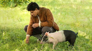 15:50: Der Schweinehirt | MDR Fernsehen | 8/23 2026