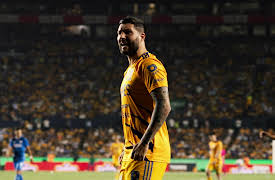Tigres: La historia perfecta season-1: Tigres: La historia perfecta - El vuelo
