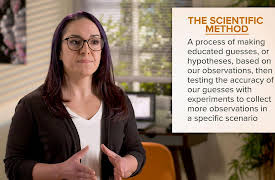 Gut Health Explained: How Researchers Study the Gut Microbiome