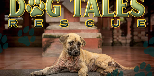 Dog Tales Rescue