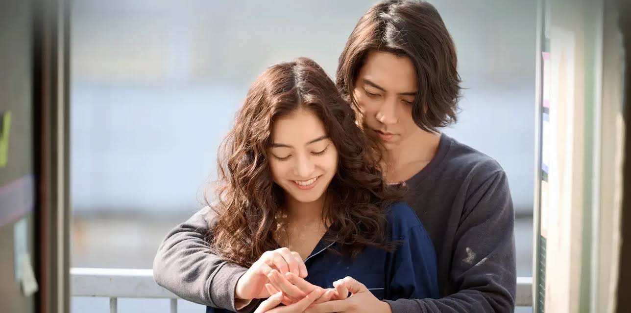 SEE HEAR LOVE (2023)