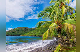 Language Families of the World: How to Identify a Language Family