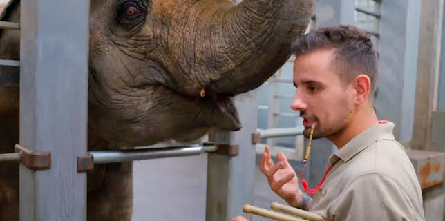 17:10: Seelöwe & Co. - tierisch beliebt | NDR Fernsehen | 12/9 2025