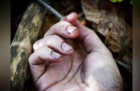 Dead of Night Season 1: Heat of the Night