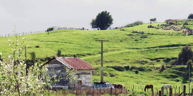 08:05: Stadt Land Kunst Spezial | Arte | 11/3 2025