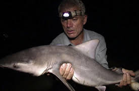 River Monsters Season 1: Freshwater Shark