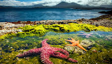 Der Blaue Planet: Extremwelt Küste