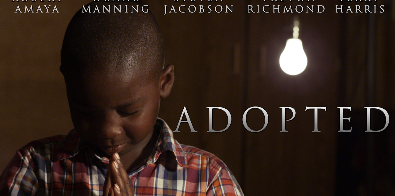 Adopted (2017)