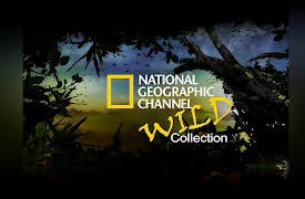National Geographic Channel: Wild Season 1: Be the Creature: Chimps