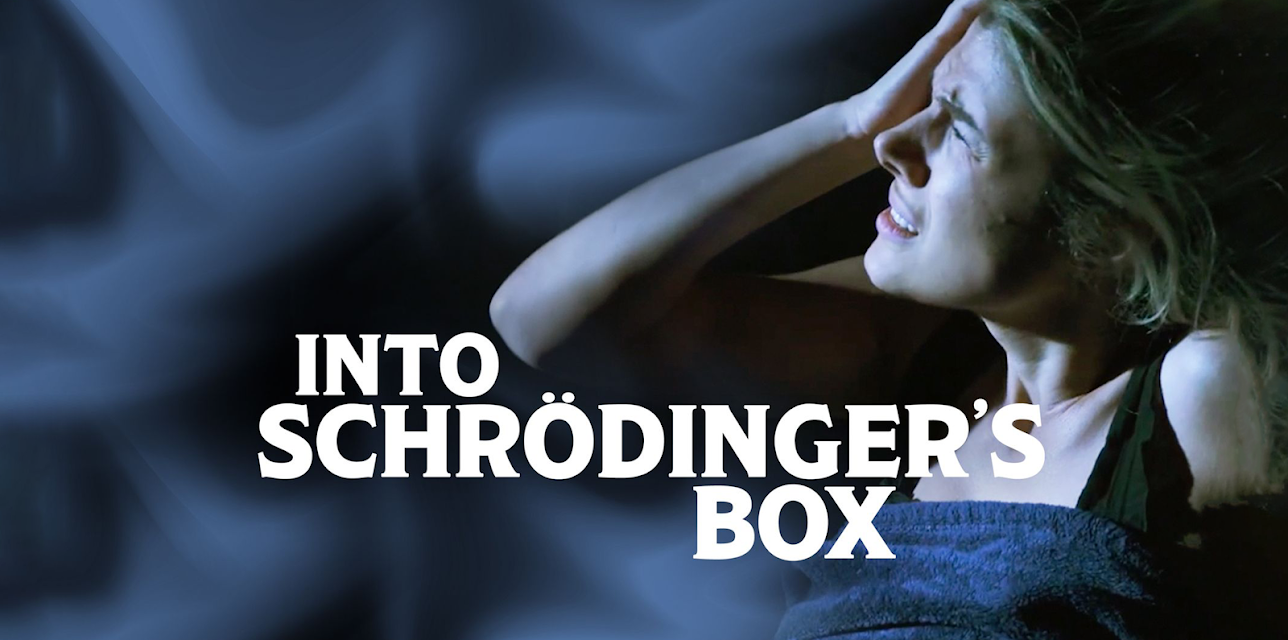 Into Schrödinger's Box (2022)