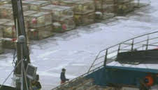 Pesca radical: Máquina del tiempo