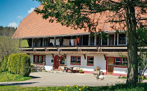 Die Fallers - Eine Schwarzwaldfamilie (1029/12)