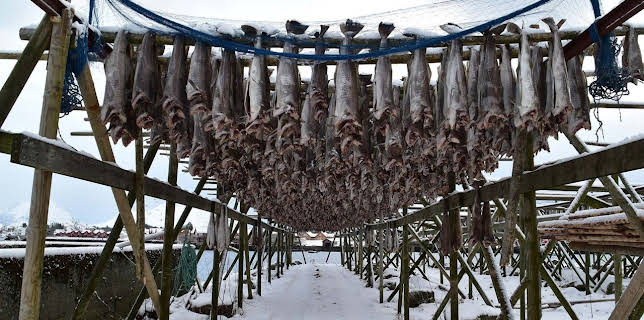 12:45: Zu Tisch | Arte | 1/1 2026