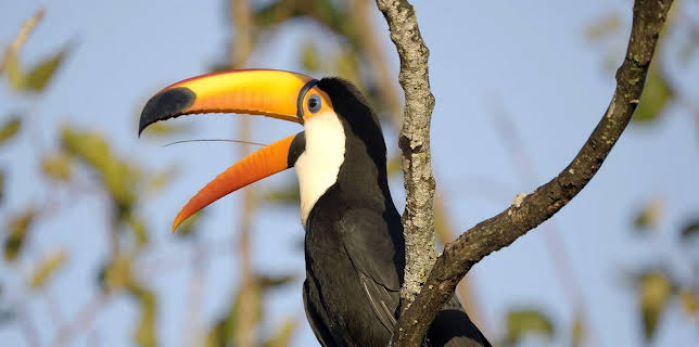 17:50: Paraguays unbekannte Schätze | Arte | 1/23 2026