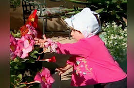 Baby Genius: Four Seasons!