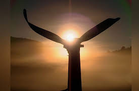 The New Tomorrow: 16