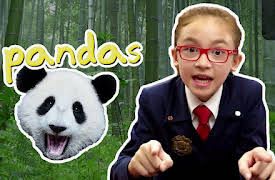 OddTube: Season 1: Pandas
