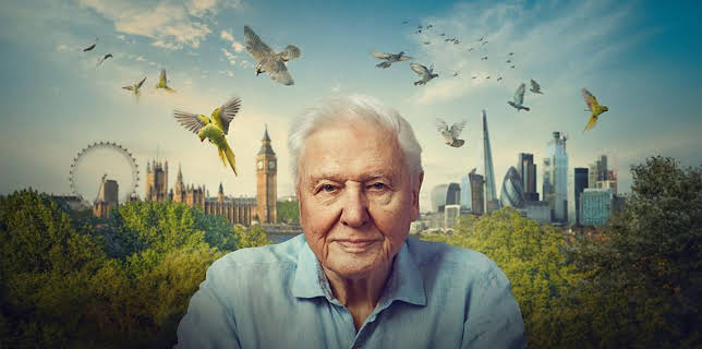 6:30 PM: Wild London | BBC One Wales | 1/1 2026