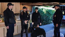 Navy: Investigación criminal (T20): Ep.17 Extraño en Tierra Extraña