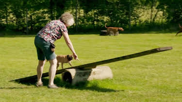 09:50: Verrückt nach Camping (14/30) | MDR Fernsehen | 6/18 2026