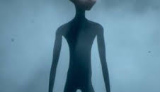 Maldiciones en la historia: Episodio 2