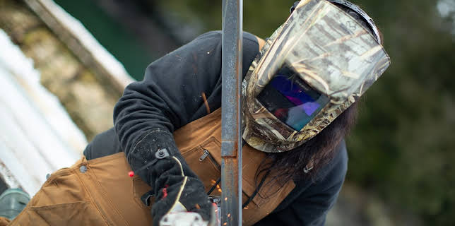 10:00 PM: Lawless Island | Nat Geo Wild | 11/27 2025