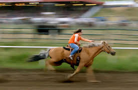 Breaking Wild: Season 1: Williams Lake Stampede