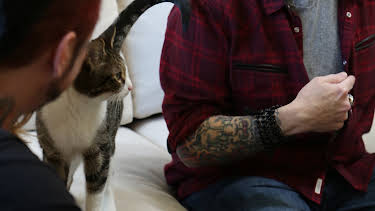 05:15: My Cat From Hell (S8 E12) (S8) | Animal Planet | 7/31 2026