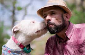 Hundar: En andra chans