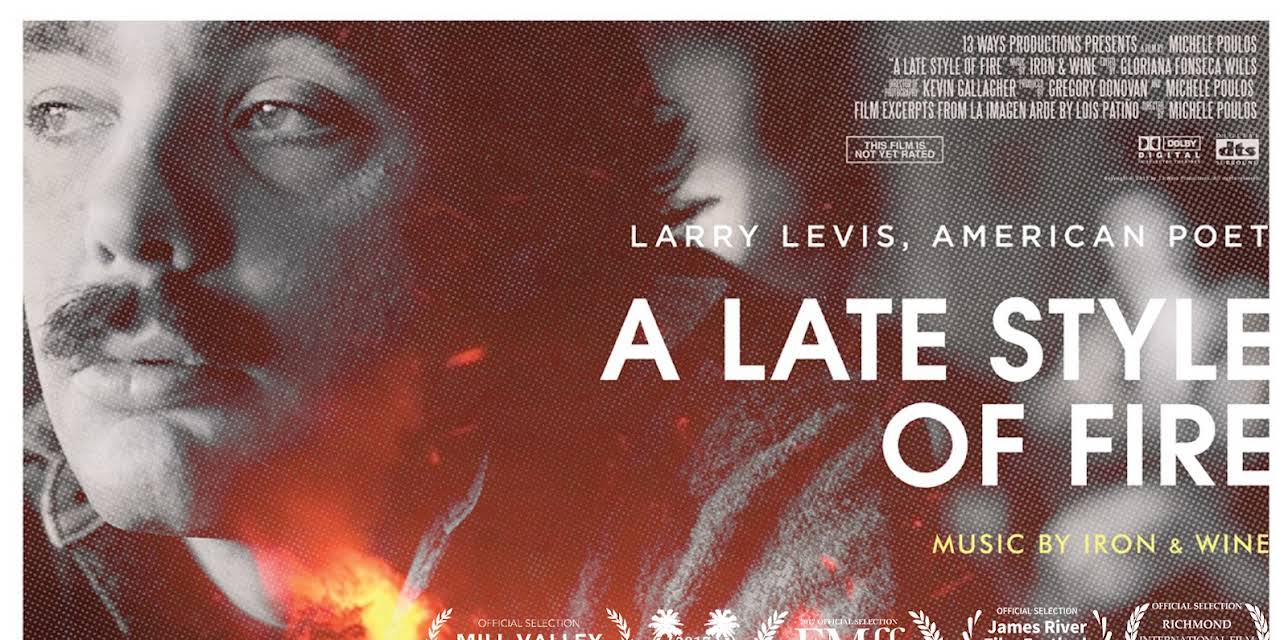 A Late Style of Fire: Larry Levis, American Poet (2016)