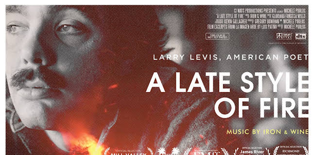 A Late Style of Fire: Larry Levis, American Poet (2016)