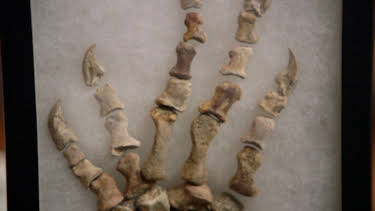 16:00: Pawn Stars - Die drei vom Pfandhaus | ProSieben Maxx | 4/24 2026