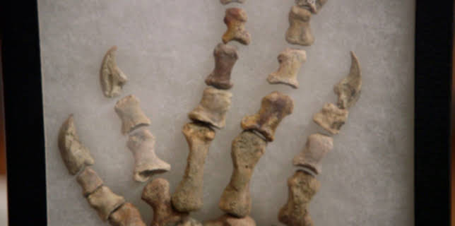 19:30: Pawn Stars - Die drei vom Pfandhaus | Kabel Eins Doku | 2/26 2026