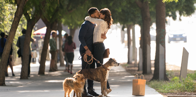 23:00: Dog Days (IMDb 6.2) | Viasat Film Family | 12/12 2025