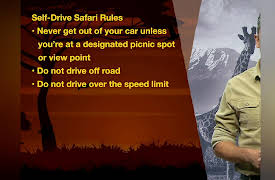 The Great Tours: African Safari: Comparing Self-Drive and Guided Safaris