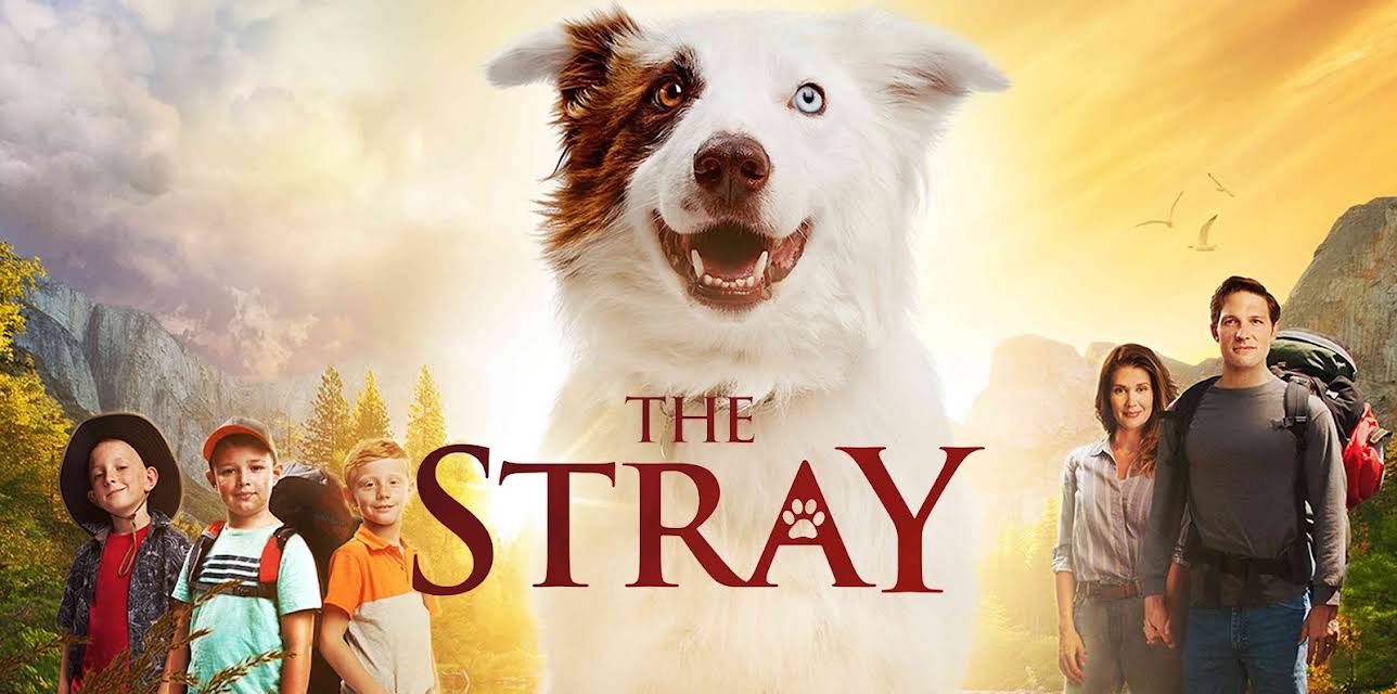 The Stray (2017)