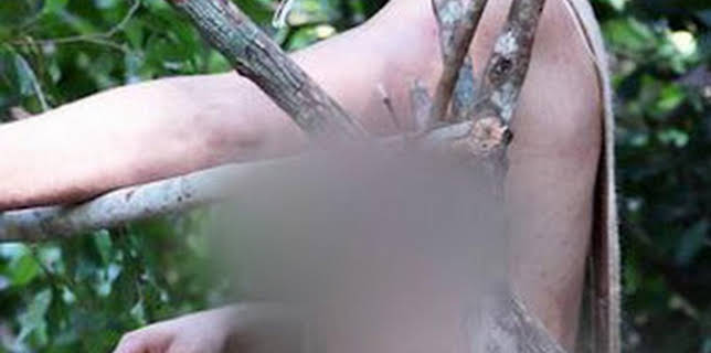 08:36: Aventura en pelotas: Abandonados | Discovery Max | 12/5 2025