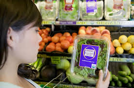 Nutrition Made Clear: Sources of Nutrition Fact and Fiction