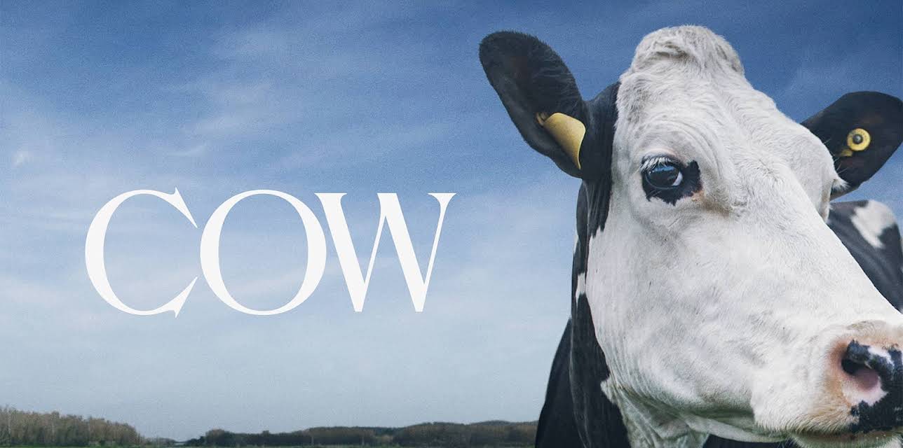 Cow (2021)