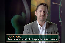 Why Insects Matter: Earth’s Most Essential Species: Insect Behaviors and Communication