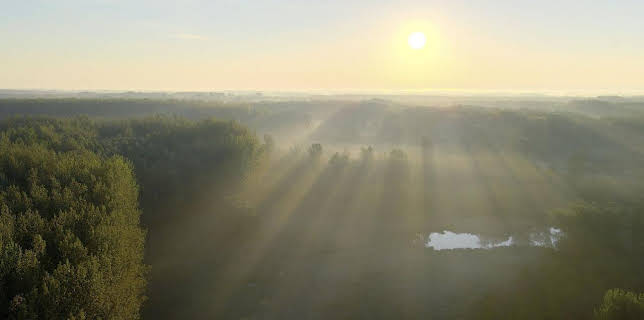 18:28: Europas Amazonien | Arte | 11/24 2025