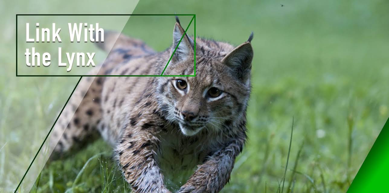 Link with the Lynx (2010)