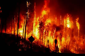 Rogue Earth: Fort Mac Wildfire