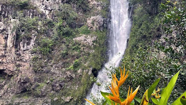 18:35: Hawai‘i | Arte | 4/16 2026