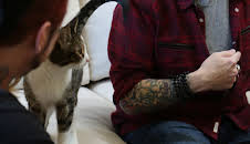 My Cat From Hell (S8 E12)